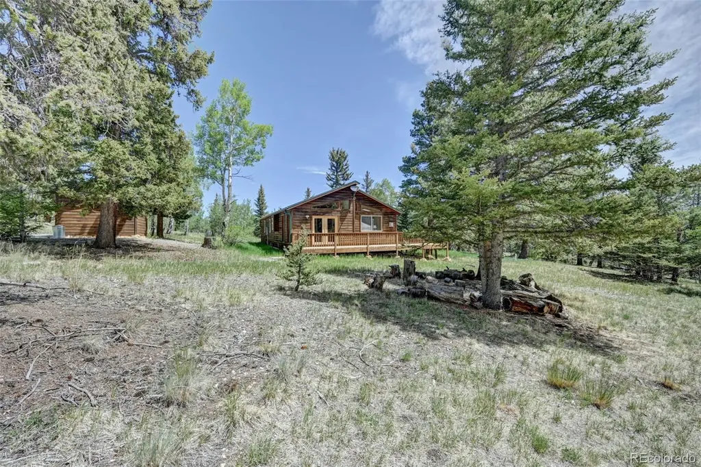 115 Mushroom Court Buena Vista CO 81211