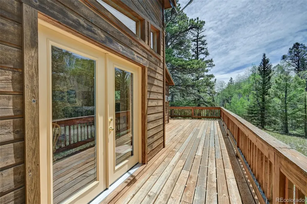 115 Mushroom Court Buena Vista CO 81211