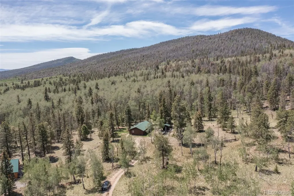 115 Mushroom Court Buena Vista CO 81211