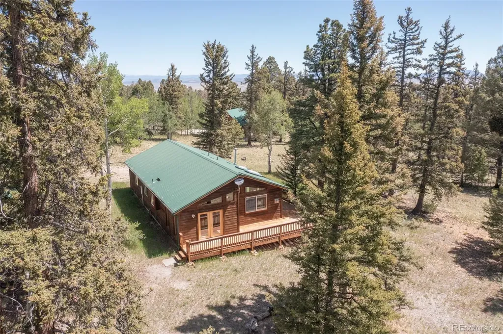 115 Mushroom Court Buena Vista CO 81211