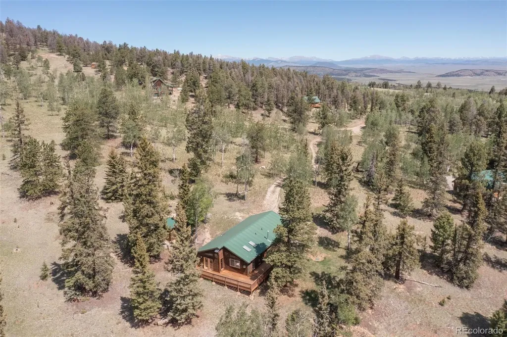 115 Mushroom Court Buena Vista CO 81211