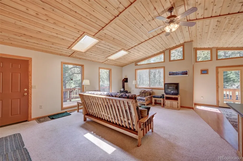 115 Mushroom Court Buena Vista CO 81211