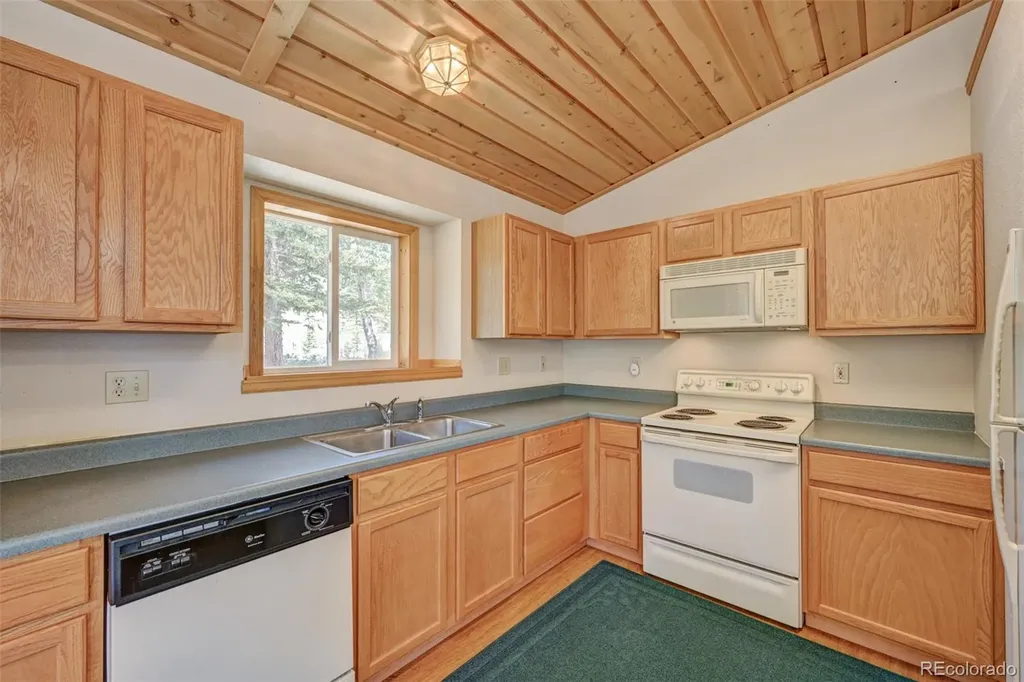 115 Mushroom Court Buena Vista CO 81211