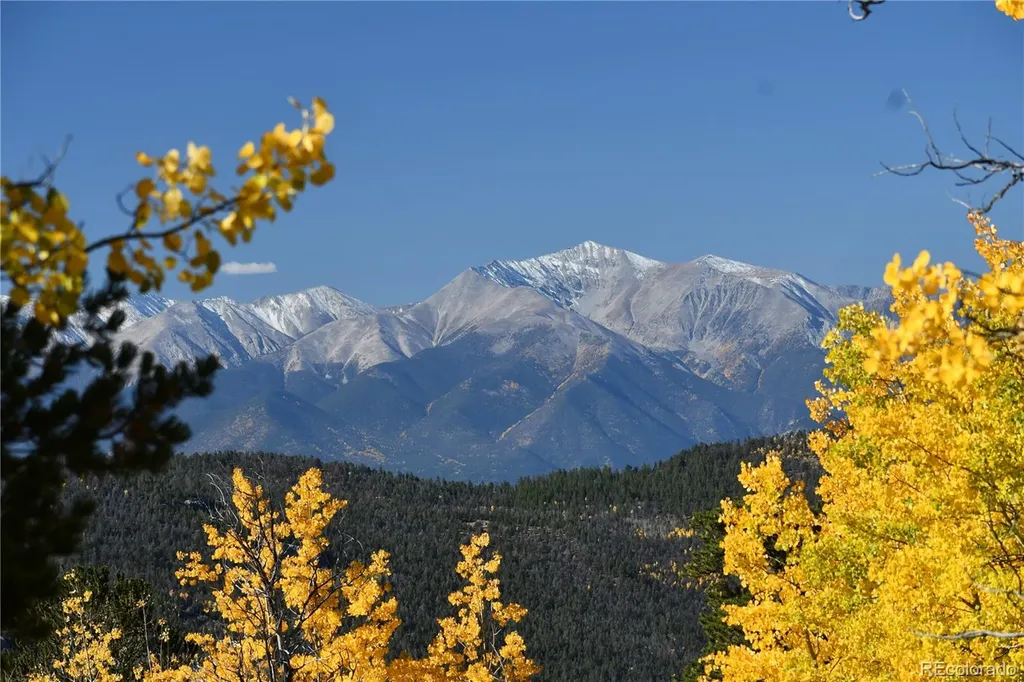 115 Mushroom Court Buena Vista CO 81211