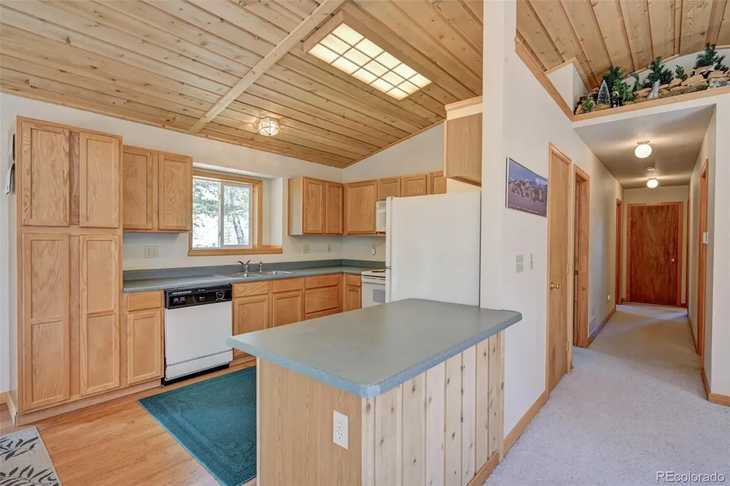 115 Mushroom Court Buena Vista CO 81211