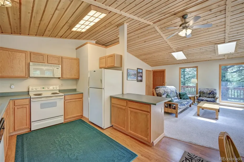 115 Mushroom Court Buena Vista CO 81211