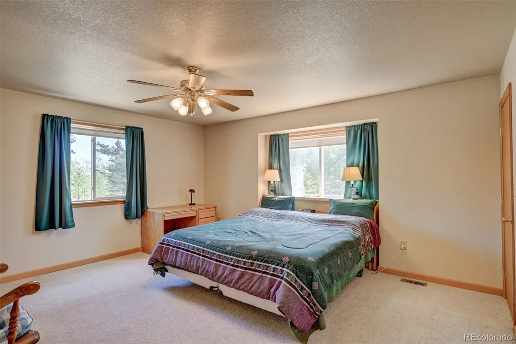 115 Mushroom Court Buena Vista CO 81211