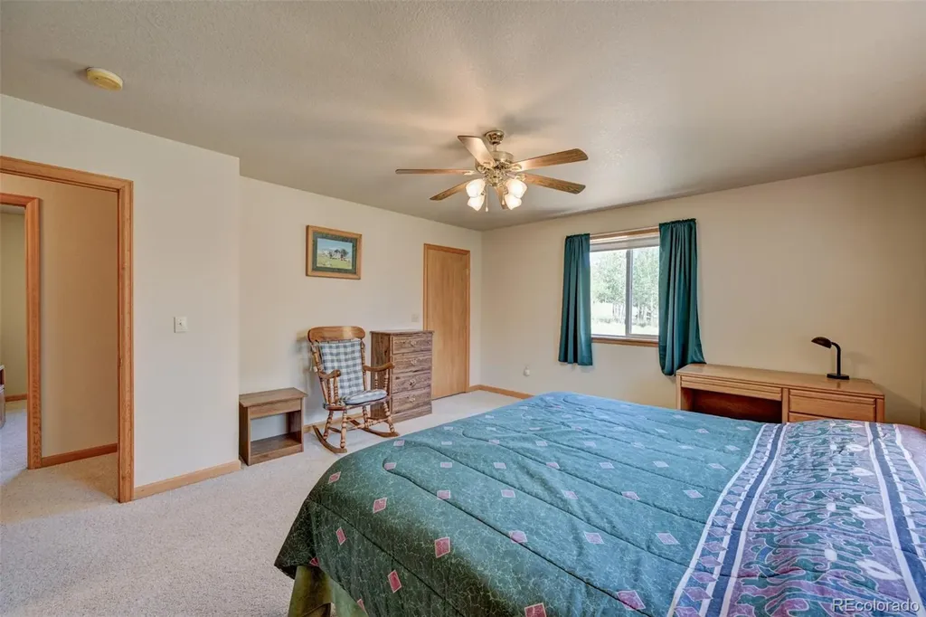 115 Mushroom Court Buena Vista CO 81211
