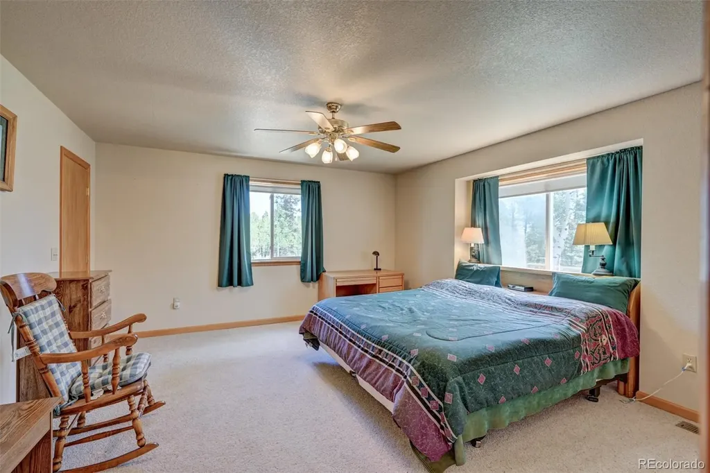 115 Mushroom Court Buena Vista CO 81211