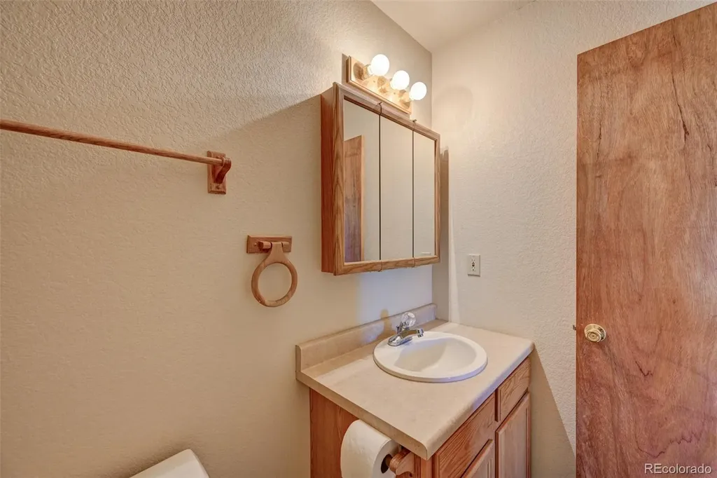 115 Mushroom Court Buena Vista CO 81211