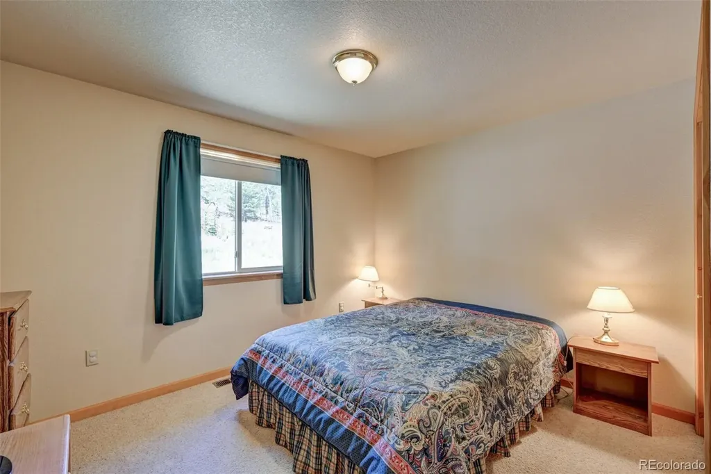115 Mushroom Court Buena Vista CO 81211