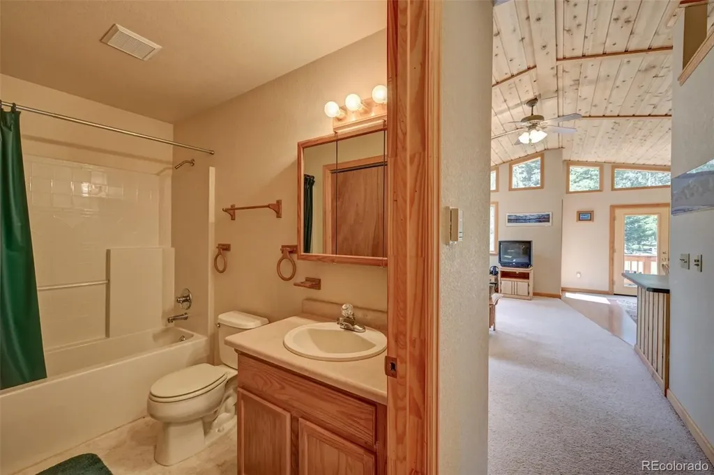 115 Mushroom Court Buena Vista CO 81211