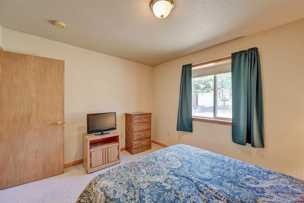 115 Mushroom Court Buena Vista CO 81211