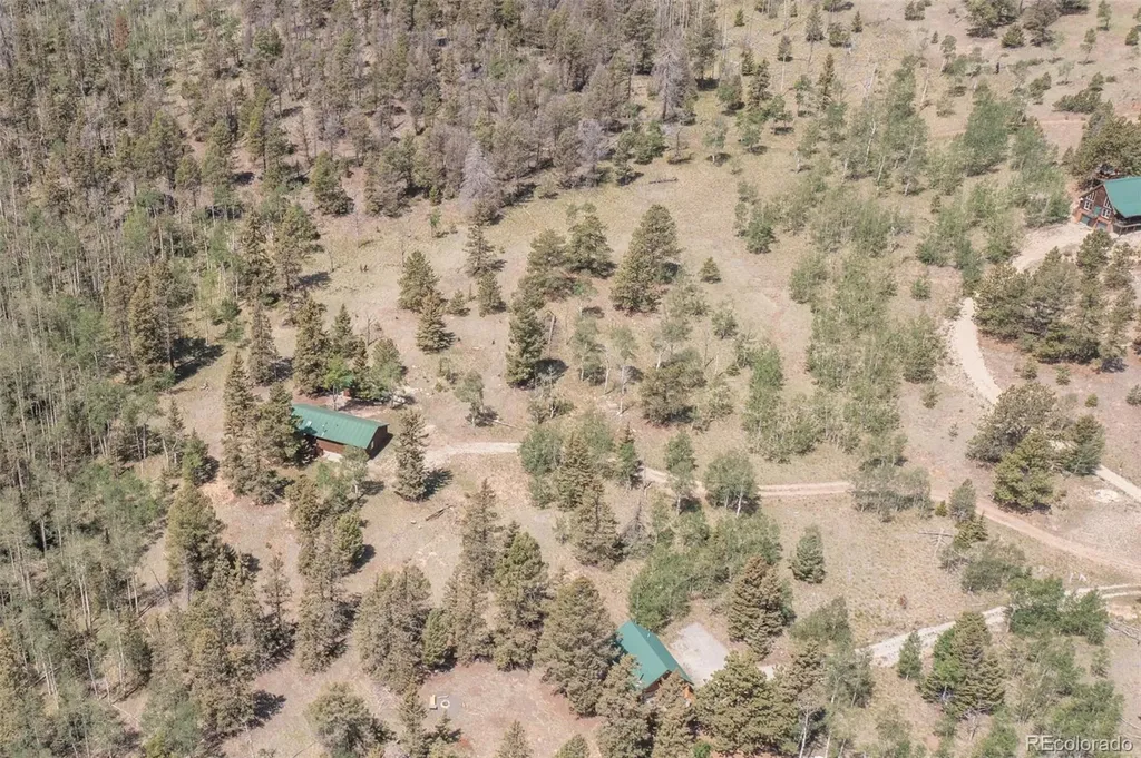 115 Mushroom Court Buena Vista CO 81211