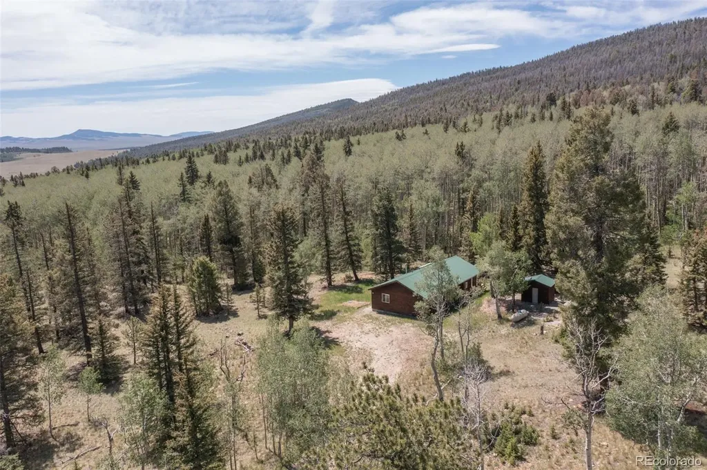 115 Mushroom Court Buena Vista CO 81211