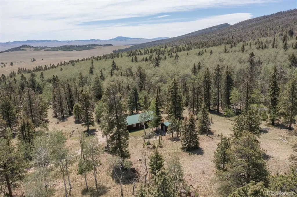 115 Mushroom Court Buena Vista CO 81211