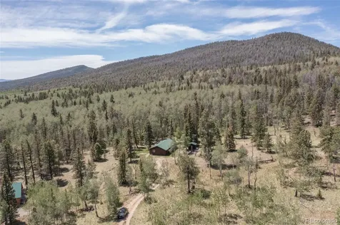 115 Mushroom Court Buena Vista CO 81211