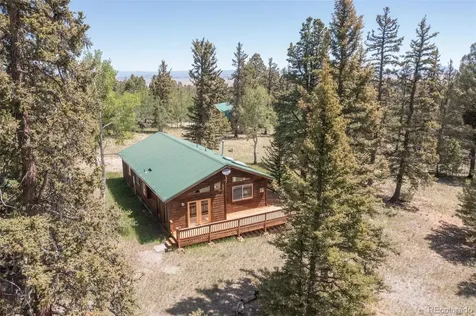 115 Mushroom Court Buena Vista CO 81211