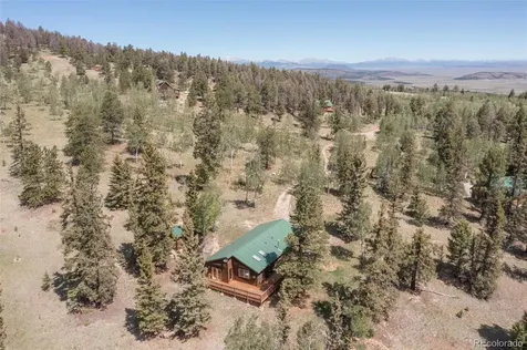 115 Mushroom Court Buena Vista CO 81211