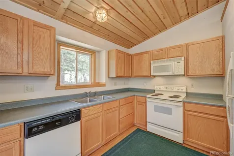 115 Mushroom Court Buena Vista CO 81211