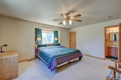 115 Mushroom Court Buena Vista CO 81211