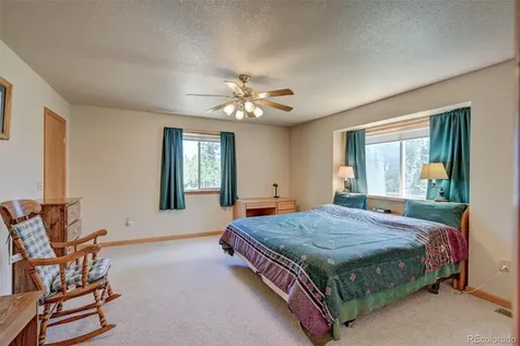 115 Mushroom Court Buena Vista CO 81211