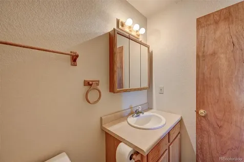 115 Mushroom Court Buena Vista CO 81211