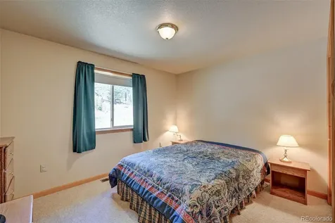 115 Mushroom Court Buena Vista CO 81211