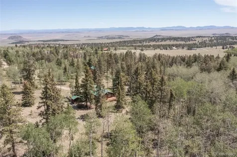 115 Mushroom Court Buena Vista CO 81211