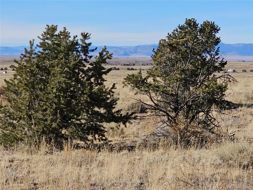 170 Wagon Wheel Road Crestone CO 81131