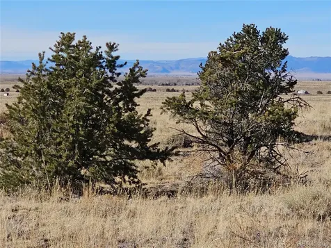 170 Wagon Wheel Road Crestone CO 81131