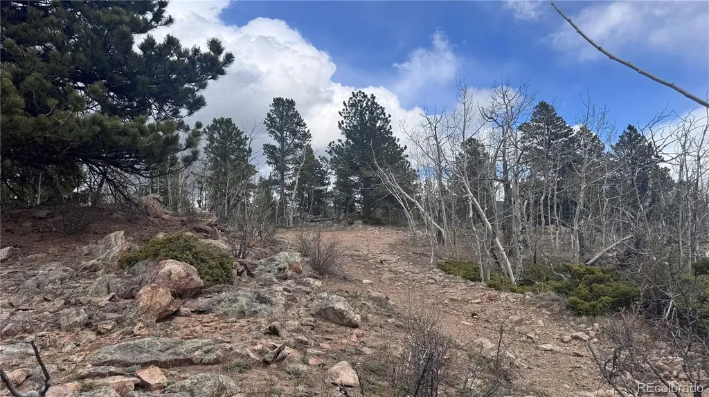 001 Mac Rock Road Central City CO 80427