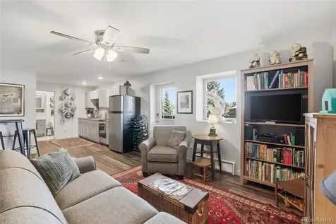 507 Alder Street Leadville CO 80461