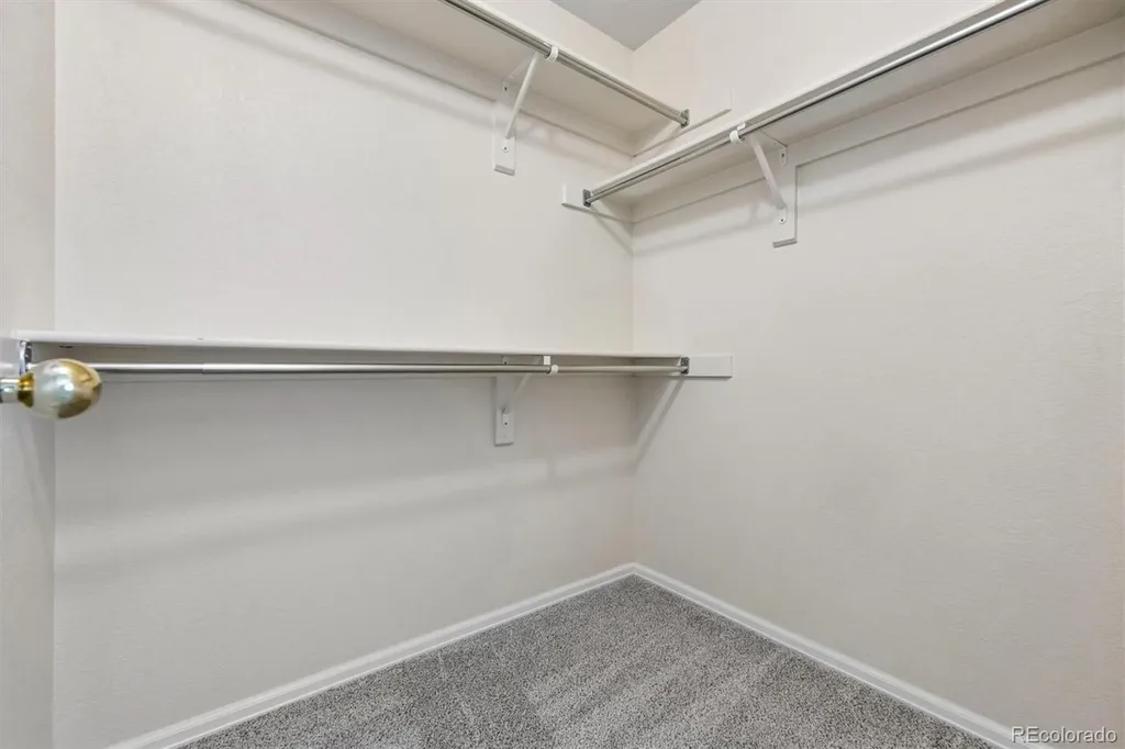 1528 Ebony Drive Castle Rock CO 80104