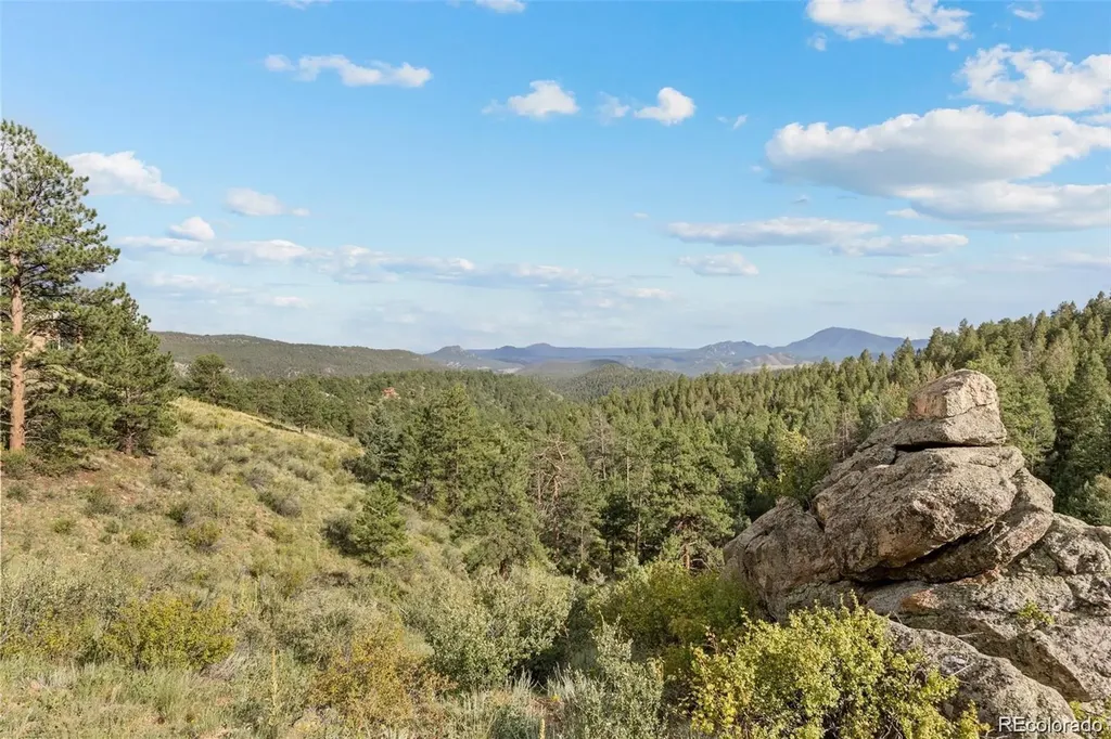 13817 Gordon Court Pine CO 80470