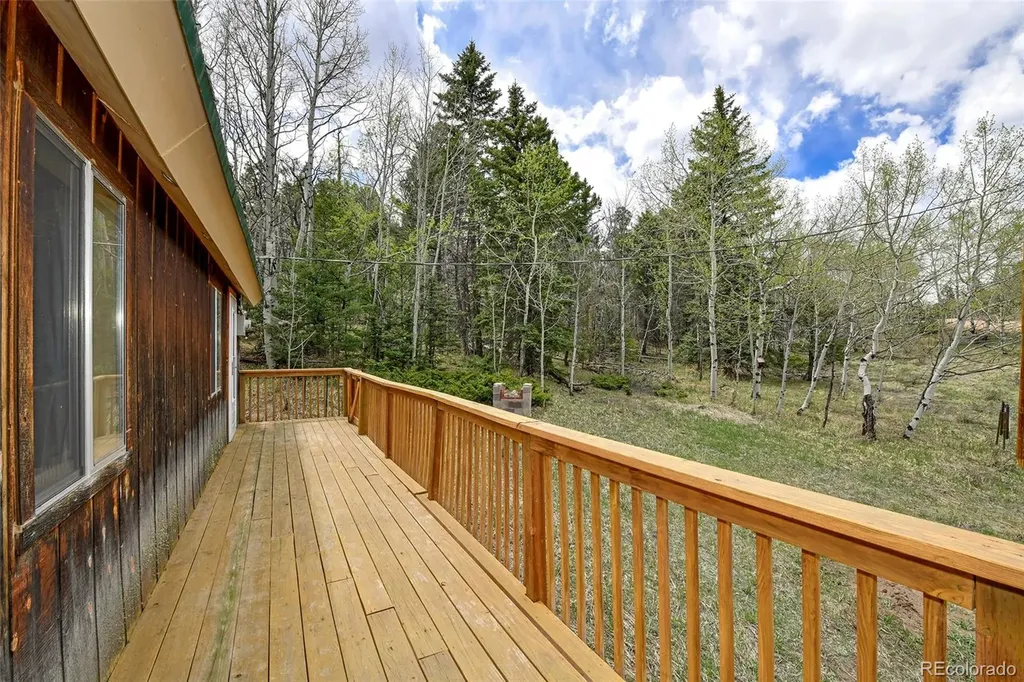 454 Eagle Rock Road Florissant CO 80816
