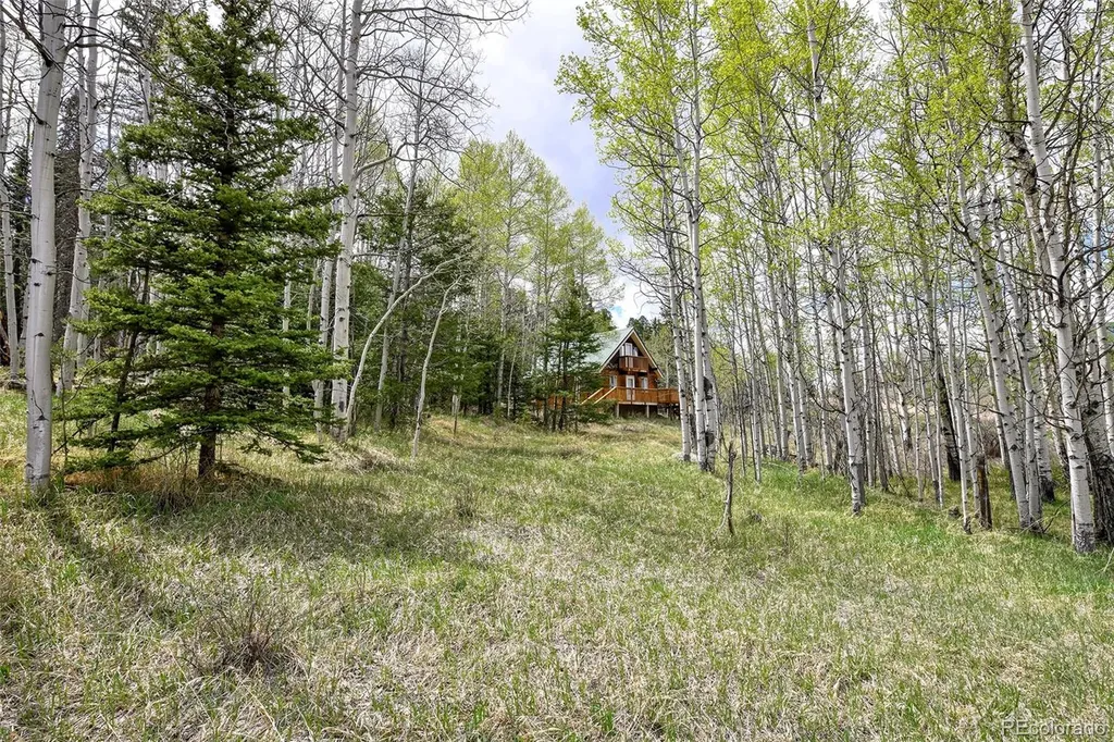 454 Eagle Rock Road Florissant CO 80816