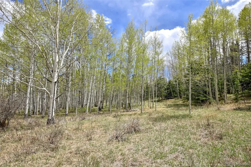 454 Eagle Rock Road Florissant CO 80816