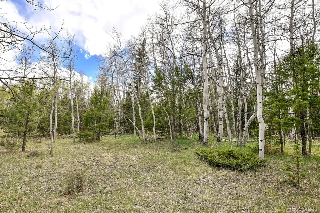 454 Eagle Rock Road Florissant CO 80816