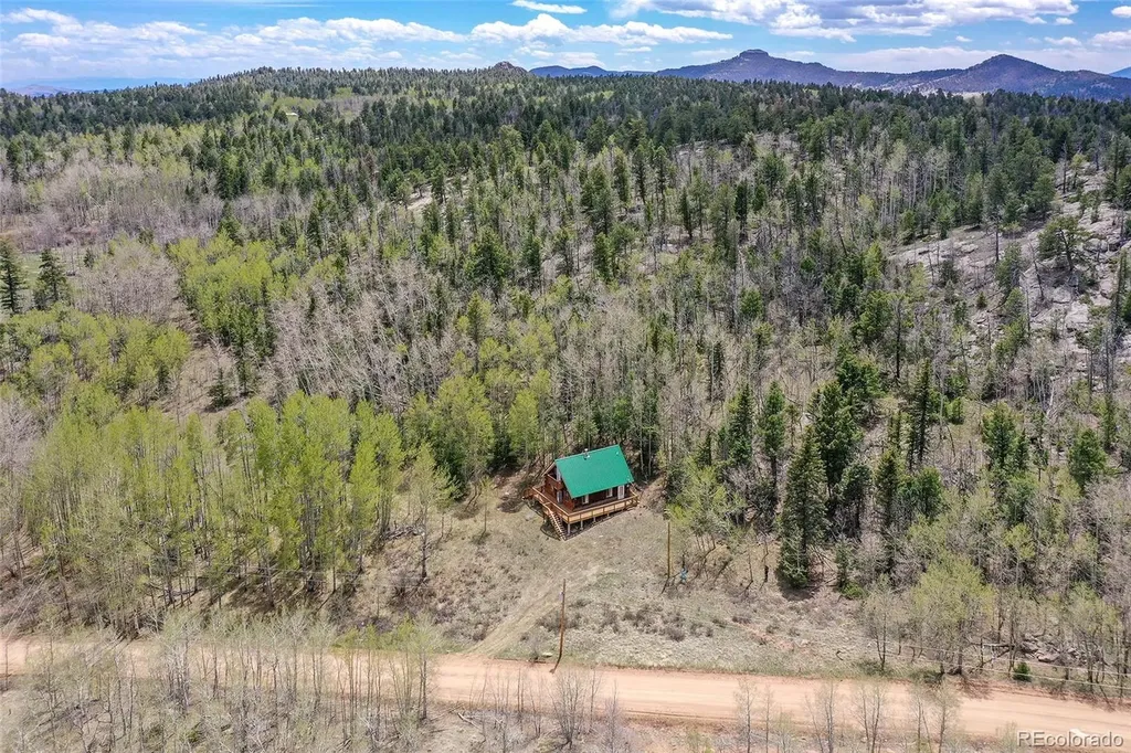 454 Eagle Rock Road Florissant CO 80816