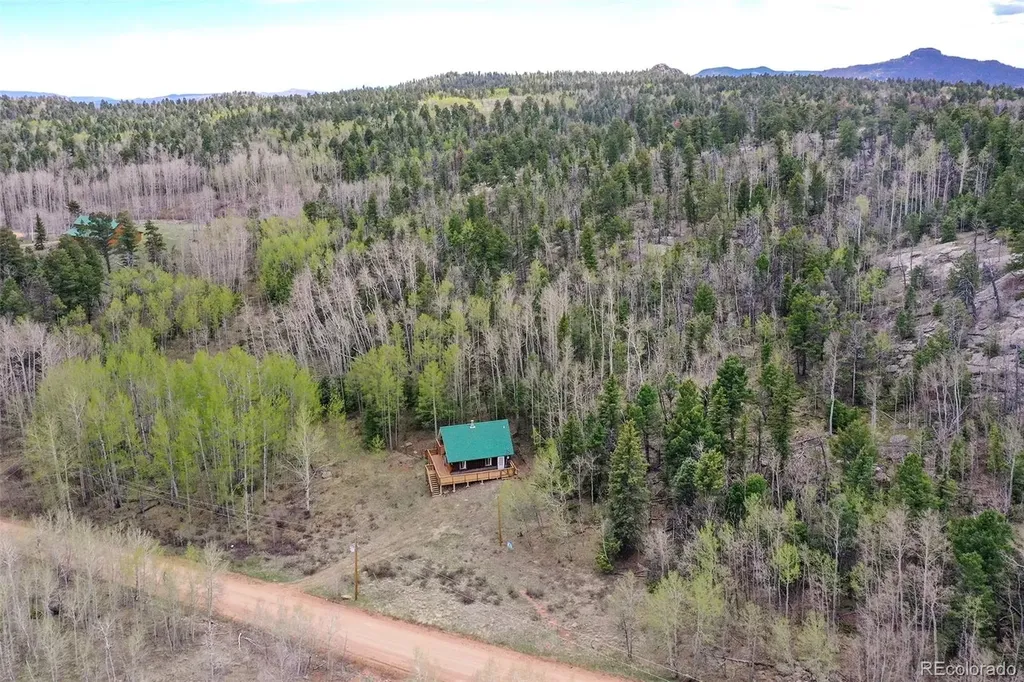 454 Eagle Rock Road Florissant CO 80816