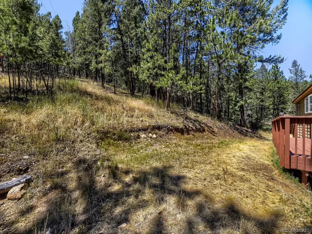 1423 Roland Drive Bailey CO 80421