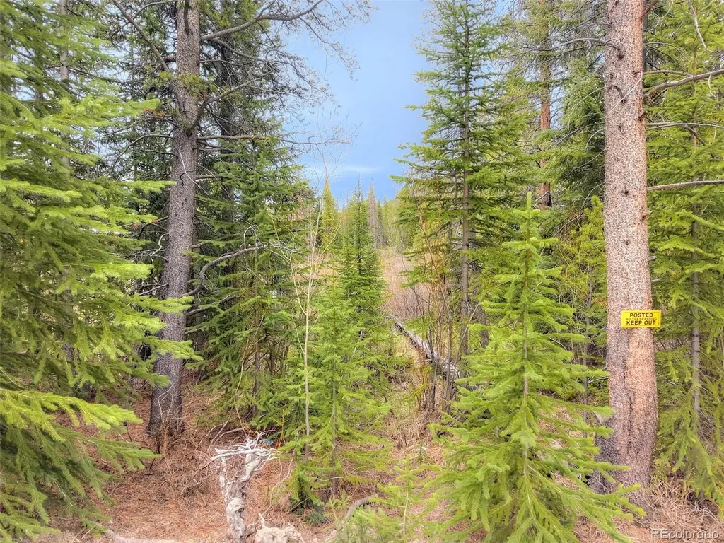 12 Blue Rock Drive Breckenridge CO 80424
