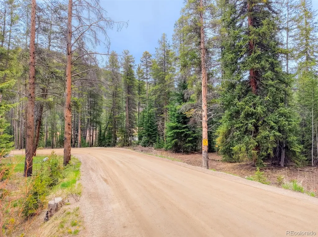 12 Blue Rock Drive Breckenridge CO 80424