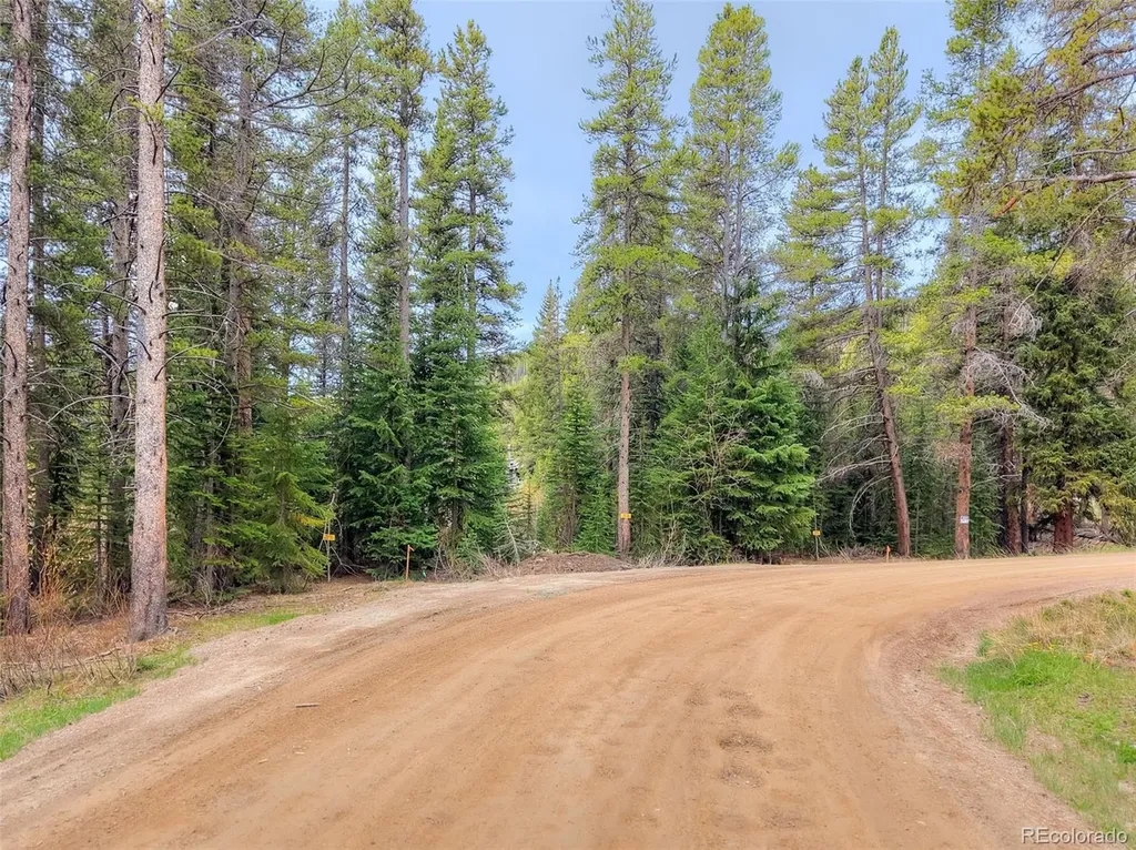 12 Blue Rock Drive Breckenridge CO 80424