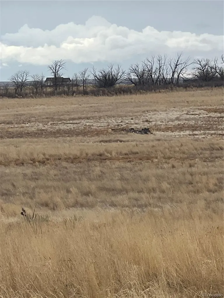 2101 Behrens Road Byers CO 80103