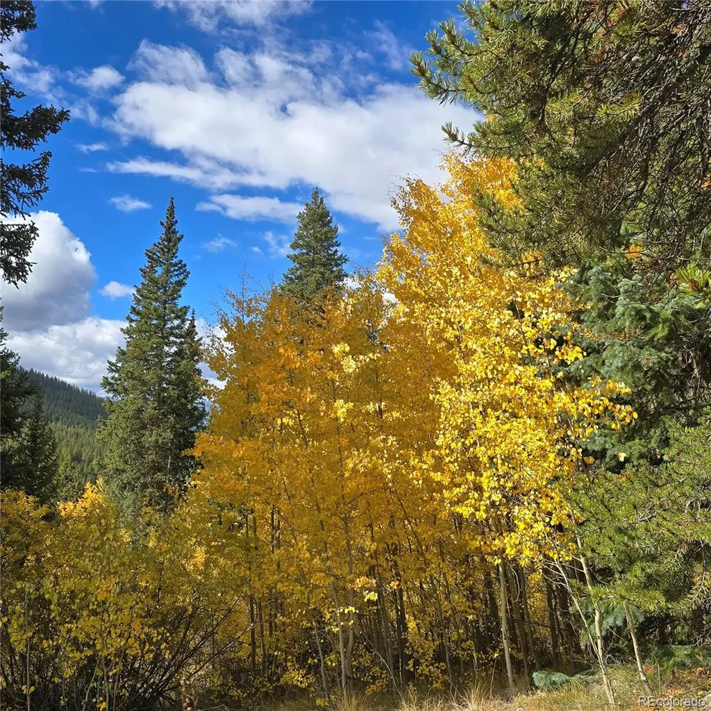 5347 Monitor Lode Claims Leadville CO 80461