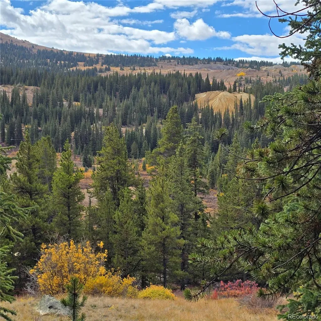 5347 Monitor Lode Claims Leadville CO 80461