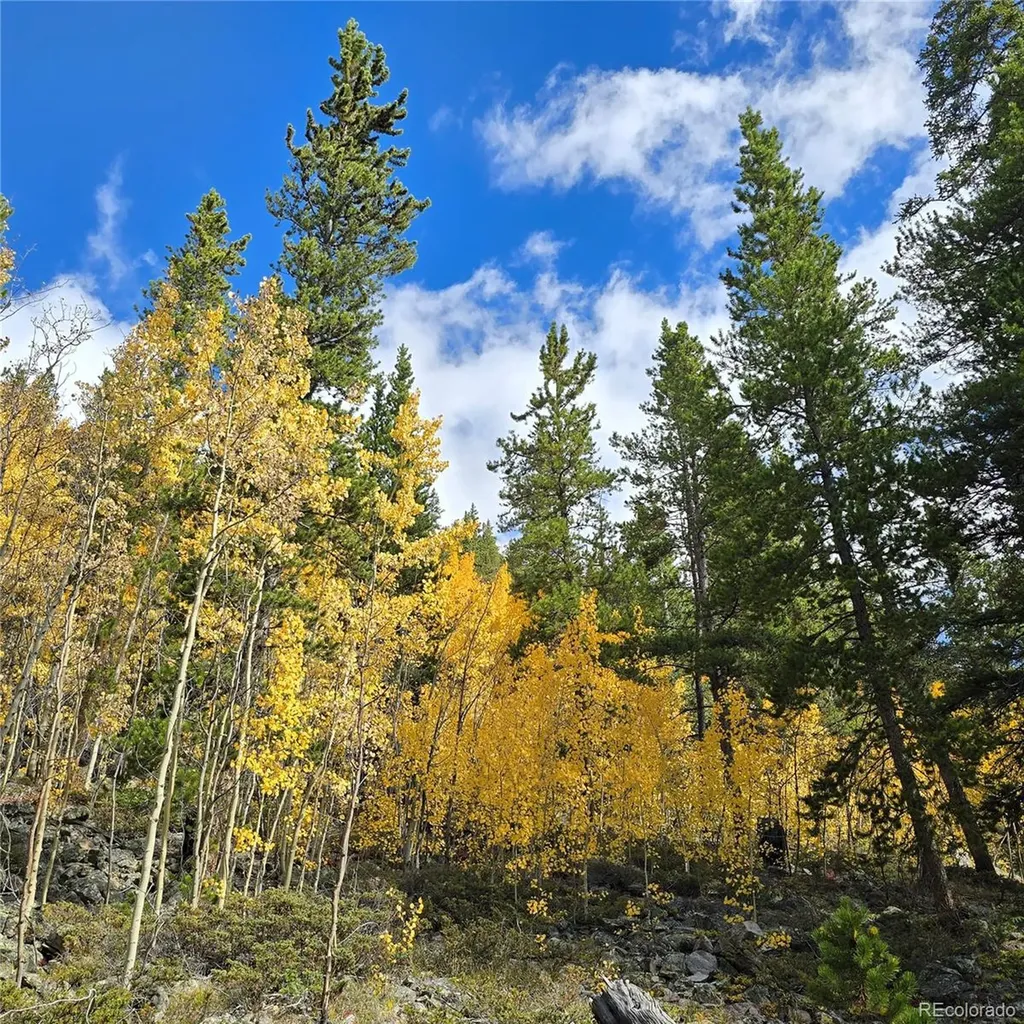 5347 Monitor Lode Claims Leadville CO 80461