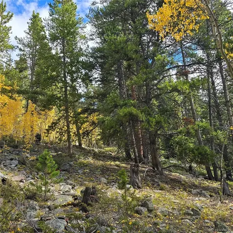 5347 Monitor Lode Claims Leadville CO 80461